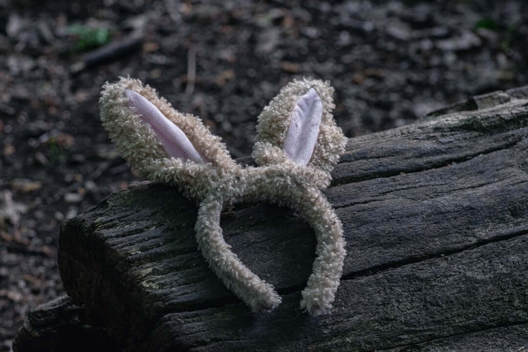 Rabbit Ears Baby Romper
