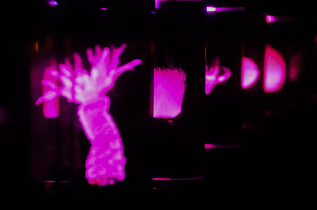 dancing water speaker