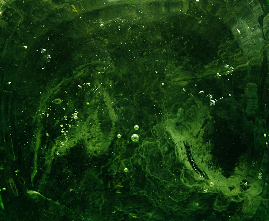 Green Water Ghost Smartwatch