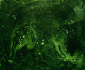 Green Water Ghost Smartwatch