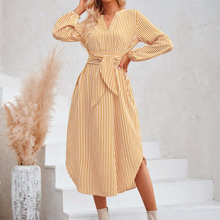 Casual V-neck striped tie waist shirt dress back view vertical pattern