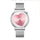 Mesh belt silver powder