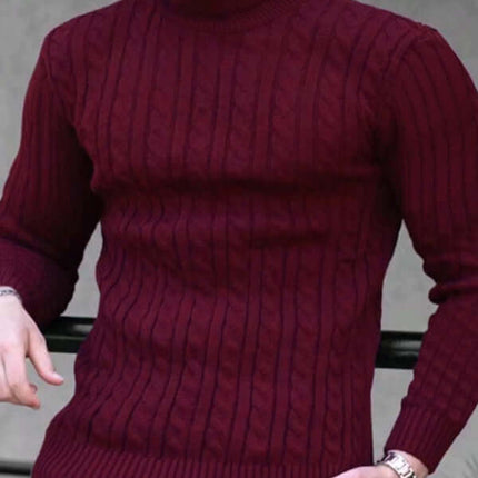 Mens Turtleneck Tight Stretch Knit Sweater leisure outfit