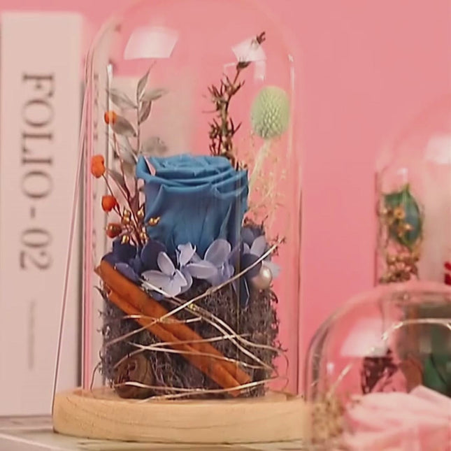 Eternal Rose Bear in Glass Dome with LED Lights