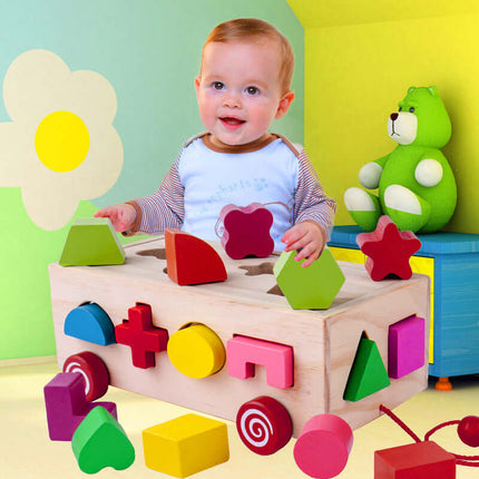 Shape Matching Building Blocks wooden intelligence box.