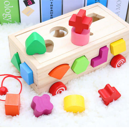 Shape Matching Building Blocks sixteen hole sorter.