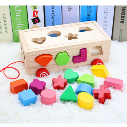 Shape Matching Building Blocks pine wood toy.
