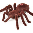 Brown Spider